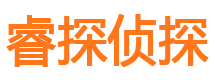 凤山市私家侦探